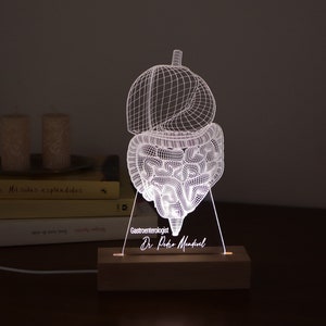 Puede incluir: Un modelo anatómico 3D impreso en blanco del sistema digestivo humano, que incluye el estómago, el intestino delgado y el intestino grueso. El modelo está iluminado desde el interior, creando un efecto brillante. La base del modelo está hecha de madera y presenta el texto "Gastroenterólogo Dr. Pedro Mendel".