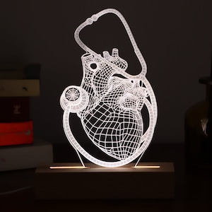 Puede incluir: Un corazón anatómico blanco impreso en 3D con un estetoscopio envuelto a su alrededor. El corazón está iluminado desde atrás, creando un efecto brillante. El corazón está sobre una base de madera.