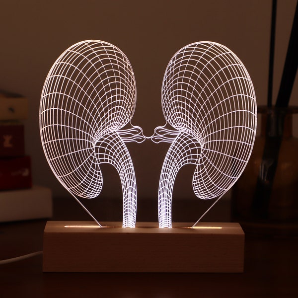 Personalisierte Nierenlampe für die Urologieschule, Nephrologie-Geschenk, kundenspezifische Nieren-LED-Lichter, Abschlussgeschenk des Medizinstudierenden