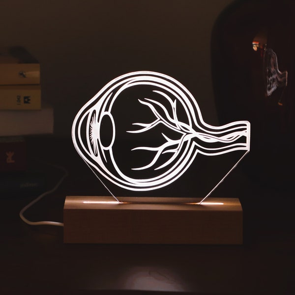 Personalized Lamp for ophtalmologist.  Optician Gift, Led Lights Gift For Him. Medical Student Graduation Gift, Anatomical eyeball