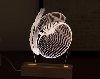 Testicle Anatomy LED Lamp, Personalized Urologist Gift, Male Reproductive System Decor, Fertility Doctor Gift, Medical Student Gift