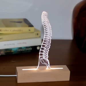 Lampe LED pour chirurgien de la colonne vertébrale ou étudiant en chiropraticien. Cadeau lumières LED pour lui. Cadeau de remise des diplômes pour étudiant ostéopathe, lampe de table illusion 3D image 3