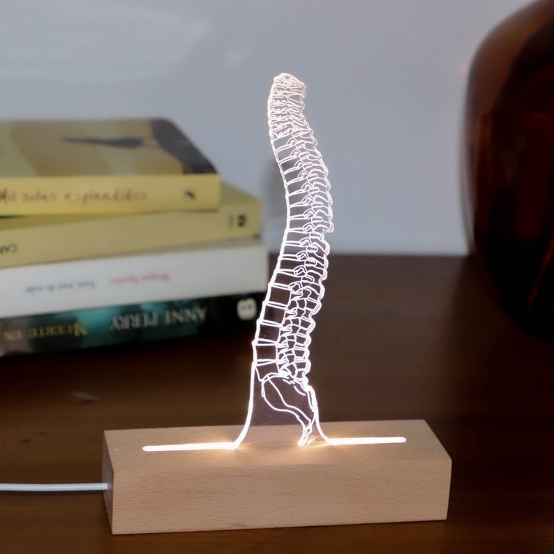 Led Light for Spine Surgeon or Student Chiropractor. Led Lights Gift For Him. Osteopath Student Graduation Gift, 3D Illusion Table Light image 3