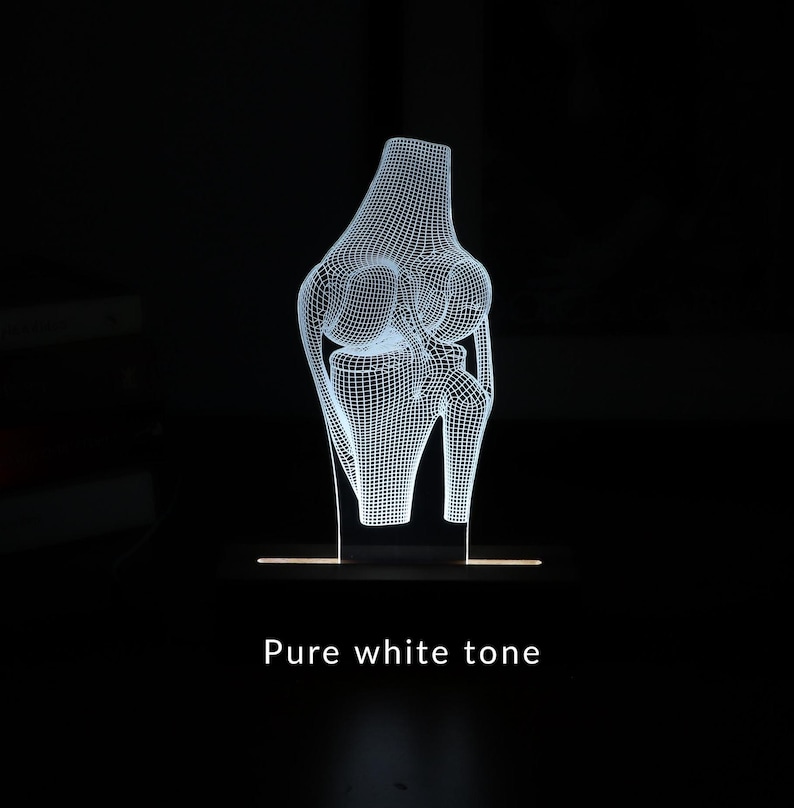 3D illusion lamp featuring a detailed human knee joint anatomy design, illuminated in a white tone, perfect as a unique and thoughtful gift for orthopedic specialists, physiotherapists, or medical professionals focusing on joint health.