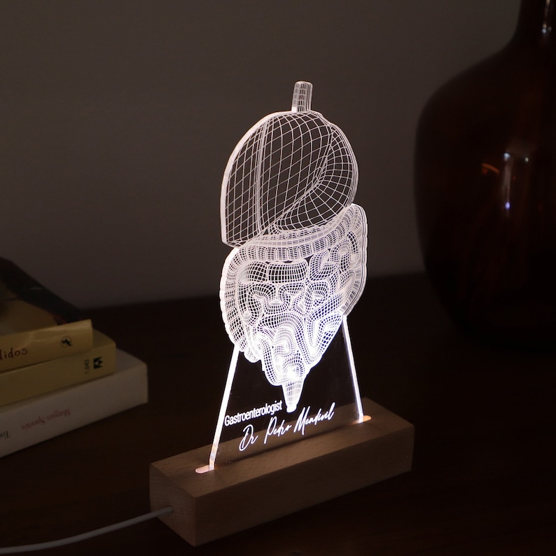 Digestive System LED Lamp: Custom Anatomy Gift for Gastroenterologists ...