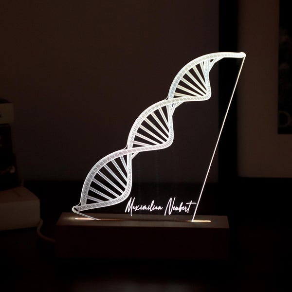 Lámpara LED de ADN personalizada: regalo de graduación para genetistas.