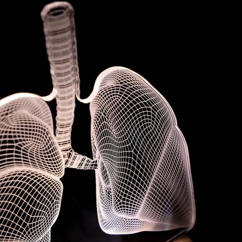 3D illusion lamp featuring a detailed lungs anatomy design, illuminated in a white tone, perfect as a unique gift for pulmonologists or medical professionals specializing in respiratory health.