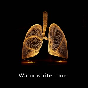 3D illusion lamp featuring a detailed lungs anatomy design, illuminated in a white tone, perfect as a unique gift for pulmonologists or medical professionals specializing in respiratory health.