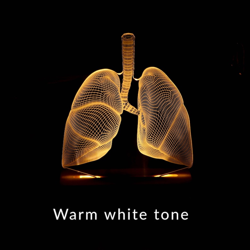3D illusion lamp featuring a detailed lungs anatomy design, illuminated in a white tone, perfect as a unique gift for pulmonologists or medical professionals specializing in respiratory health.