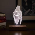 Knee Joint LED Lamp – Orthopedic Surgeon Gift, Anatomy Decor product logo