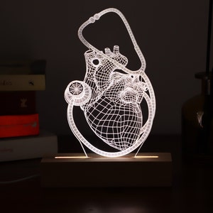 Lampada personalizzata per cardiologo scolastico. Regalo per cardiologo, regalo di luci a led per lui. Regalo di laurea per studente di medicina immagine 8