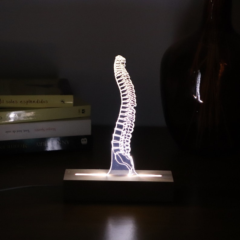 Led Light for Spine Surgeon or Student Chiropractor. Led Lights Gift For Him. Osteopath Student Graduation Gift, 3D Illusion Table Light image 1