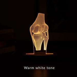 3D illusion lamp featuring a detailed human knee joint anatomy design, illuminated in a white tone, perfect as a unique and thoughtful gift for orthopedic specialists, physiotherapists, or medical professionals focusing on joint health.