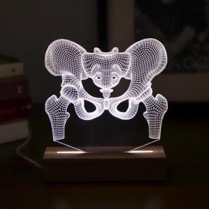 Hips LED Lamp: Custom Bone Design, Orthopedic Surgeon Gift