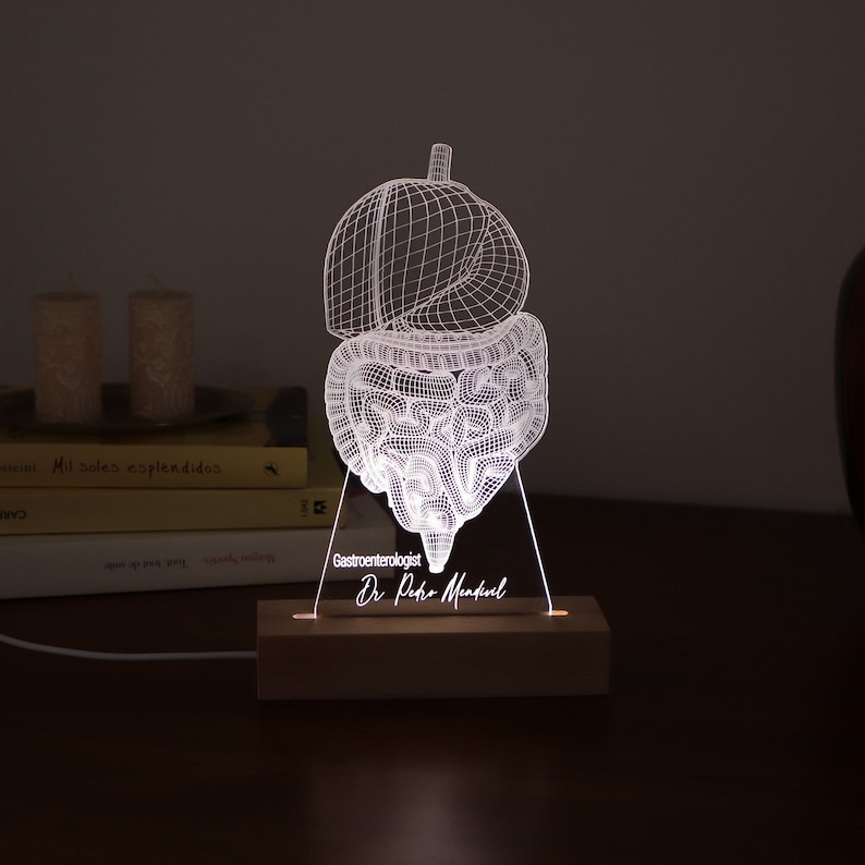 Personalized Lamp for School Gastroenterologist. Custom Gastroenterologist Gift, Led Lights Gift For Him. Student Graduation Gift image 1