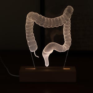 Può includere: Una lampada a illusione ottica 3D con un'illustrazione a filo bianco brillante dell'intestino crasso umano. Il pannello in acrilico traslucido è montato su una base rettangolare in legno con una fonte di luce integrata e un cavo di alimentazione.