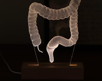 Colon Anatomy LED Lamp, Personalized Gastroenterologist Gift, Digestive System Decor, Medical Student Gift, Office Lamp
