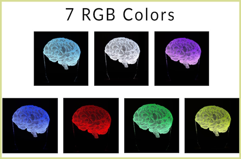 Personalized 3D illusion lamp featuring a detailed brain anatomy design, illuminated in a white tone,  perfect as a unique gift for mental health professionals.