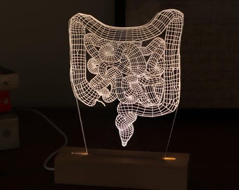 Intestine Anatomy LED Lamp, Personalized Digestive System Gift, Gastroenterologist Decor, Medical Student Gift
