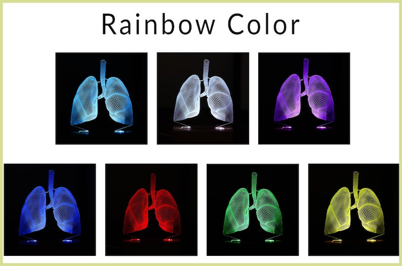 3D illusion lamp featuring a detailed lungs anatomy design, illuminated in a white tone, perfect as a unique gift for pulmonologists or medical professionals specializing in respiratory health.