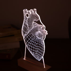 Personalized Lamp for School Cardiologist. Cardiologist Gift, Led Lights Gift For Him. Medical Student Graduation Gift image 2