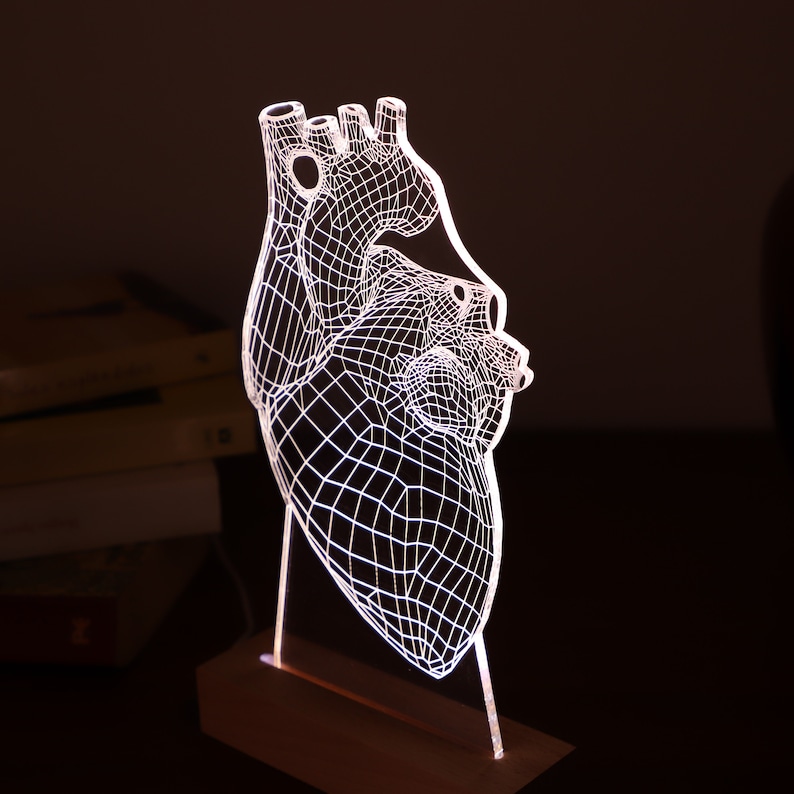 Lampada personalizzata per cardiologo scolastico. Regalo per cardiologo, regalo di luci a led per lui. Regalo di laurea per studente di medicina immagine 2