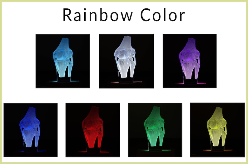 3D illusion lamp featuring a detailed human knee joint anatomy design, illuminated in a raibow color, perfect as a unique and thoughtful gift for orthopedic specialists, physiotherapists, or medical professionals focusing on joint health.
