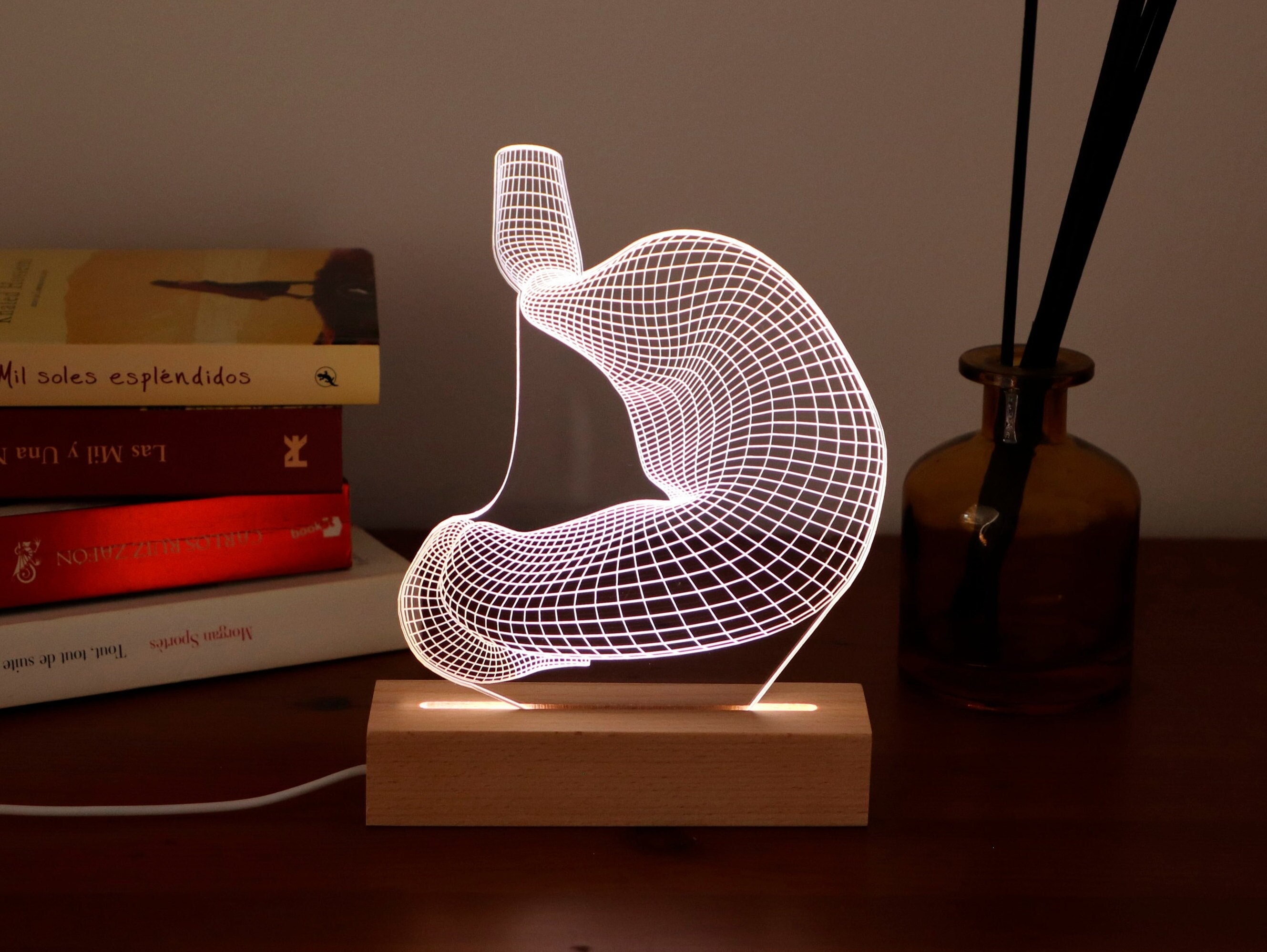 Stomach LED Lamp – Personalized Gift for Gastroenterologists, Medical Student Graduation, Unique Anatomy Office Light
