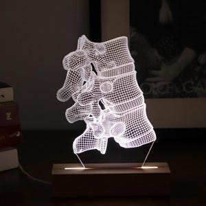 Ledlamp wervel: gepersonaliseerde bureaulamp wervelkolomanatomie, afstudeercadeau