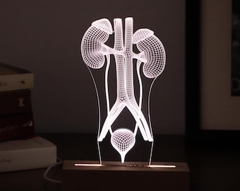 Urologe-LED-Lampe – Personalisiertes Geschenk Harntrakt-Licht, Medizinstudent Abschlussgeschenk, Urologengeschenk