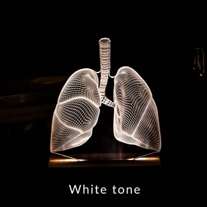 3D illusion lamp featuring a detailed lungs anatomy design, illuminated in a white tone, perfect as a unique gift for pulmonologists or medical professionals specializing in respiratory health.