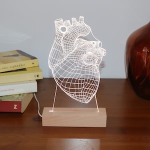 Lampada personalizzata per cardiologo scolastico. Regalo per cardiologo, regalo di luci a led per lui. Regalo di laurea per studente di medicina immagine 3