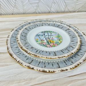 Puede incluir: Dos platos de cerámica grises y blancos con un borde dorado. El plato más pequeño tiene un diseño floral con un abedul en el centro. El plato más grande tiene un patrón de abedul alrededor del borde.