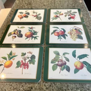 6 Jason Placemats - Etsy