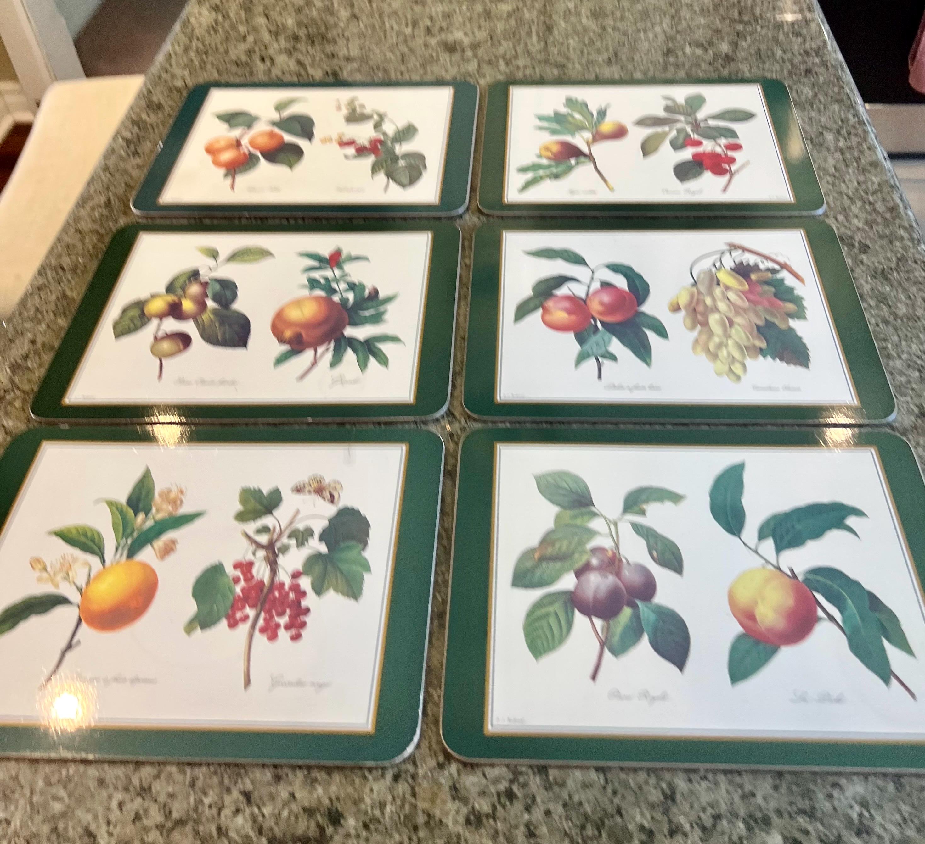 Jason place mat  6点セット Retro Jason Round Placemats Set of 6 Heron Peach - Etsy Canada