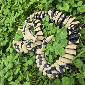 Pu&ograve; includere: Un giocattolo a forma di serpente arrotolato, con un motivo beige e nero, appoggiato in mezzo a trifogli verdi. La testa del serpente &egrave; visibile, con un muso beige e un dettaglio verde. Il giocattolo &egrave; progettato per assomigliare a un rettile.