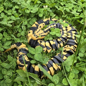 Pu&ograve; includere: Una statuetta di serpente giallo e nero arrotolata, con occhi verdi, riposa tra trifogli ed erba verdi. Il corpo del serpente &egrave; segmentato con un motivo ripetuto di nero e giallo. La testa &egrave; dettagliata con squame strutturate.