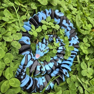 Pu&ograve; includere: Un giocattolo a forma di serpente articolato blu e nero, avvolto in un letto di trifogli verdi. Il corpo del serpente &egrave; segmentato con sezioni blu e nere alternate. La testa del serpente &egrave; blu con occhi verdi e bocca rosa.