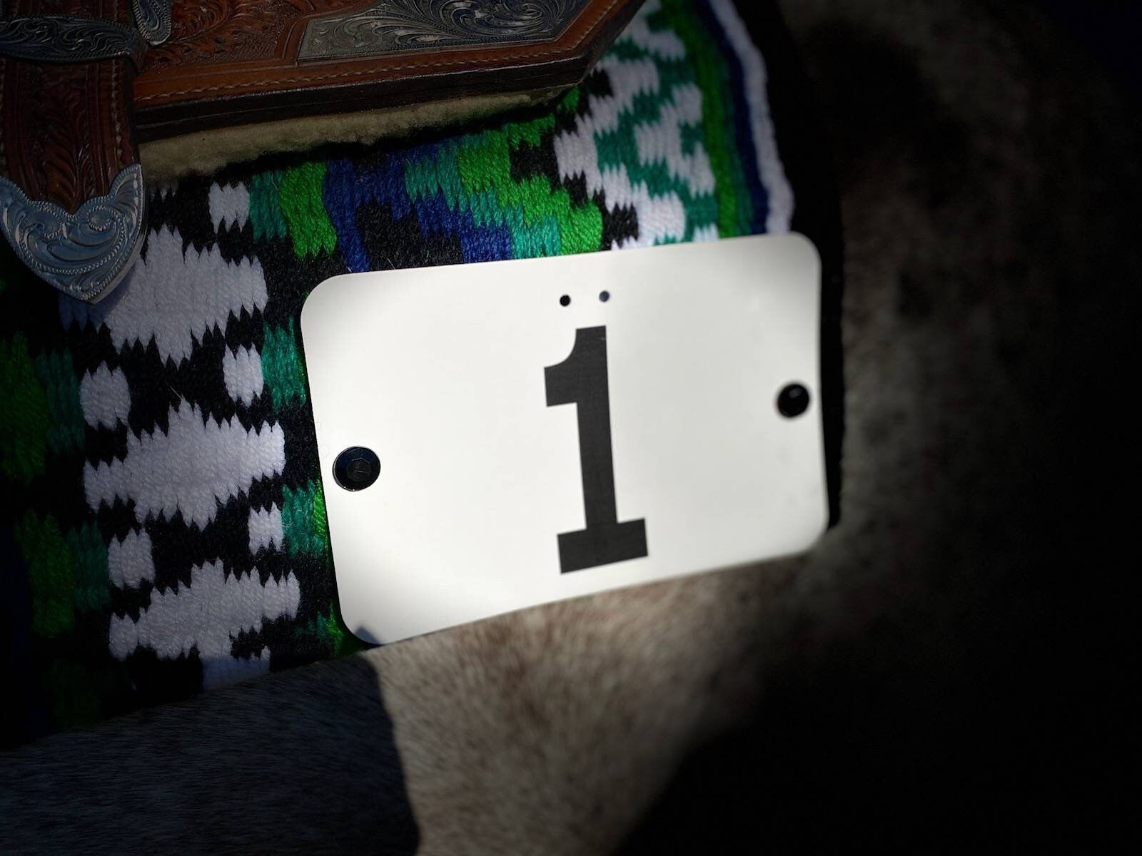 Saddle Pad Number Pins, Onyx Etsy