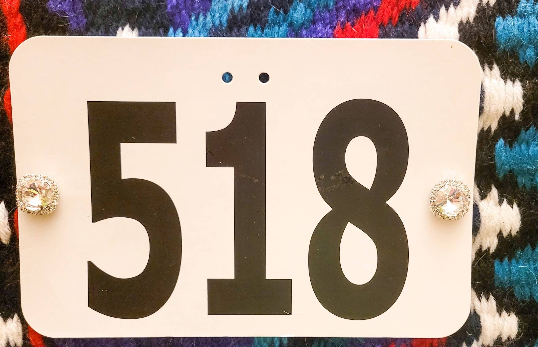 Saddle Pad Number Pins, Royalty Etsy