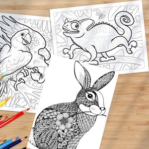 Animal Coloring Pages, Animal Printables, Digital Coloring Pages (Printable, PDF Download), Forest Animals, Boys, Girls, and Adults