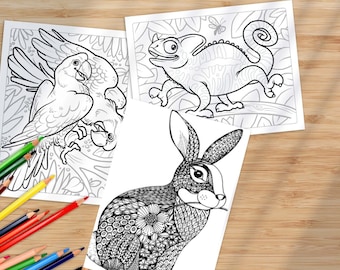 Páginas para colorear de animales, páginas para colorear digitales (imprimibles, descarga en PDF), animales del bosque, niños, niñas y adultos