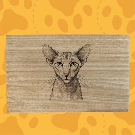 Oriental Shorthair cat themed box