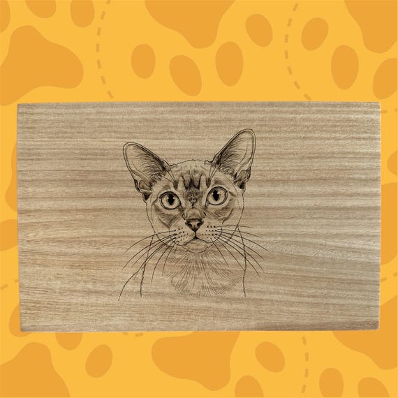 Burmese cat themed box