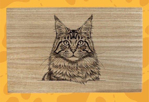 Maine coon lovers cat wooden gift box