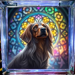 Puede incluir: Un perro de pelo largo marrón y negro con un fondo de vitral. El perro está mirando hacia arriba y tiene una expresión suave y gentil.