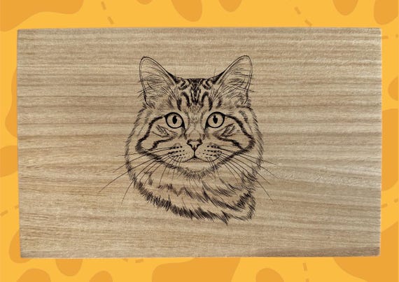 Engraved domestic longhair cat lovers wooden gift box, personalized custom wood storage pets