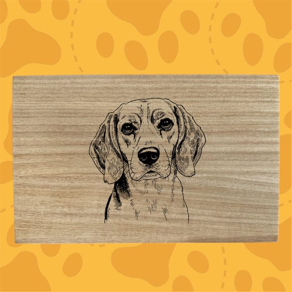 Beagle Dog themed box