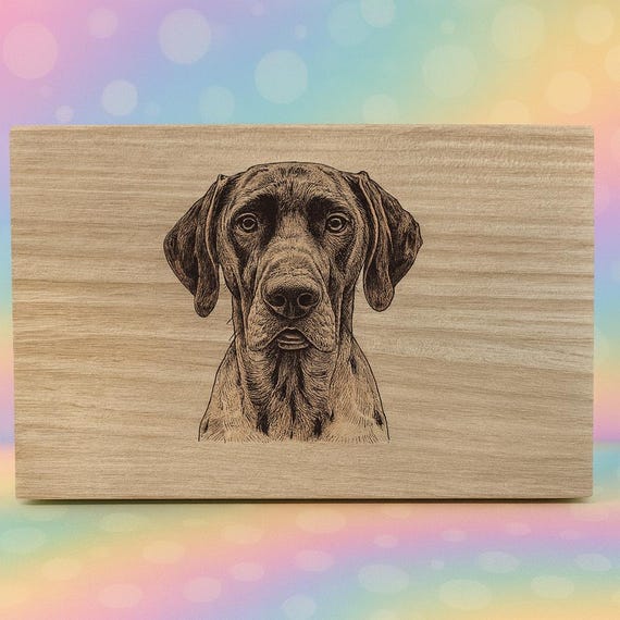German Shorthair Pointer Dog themed box