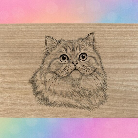 Persian cat themed box